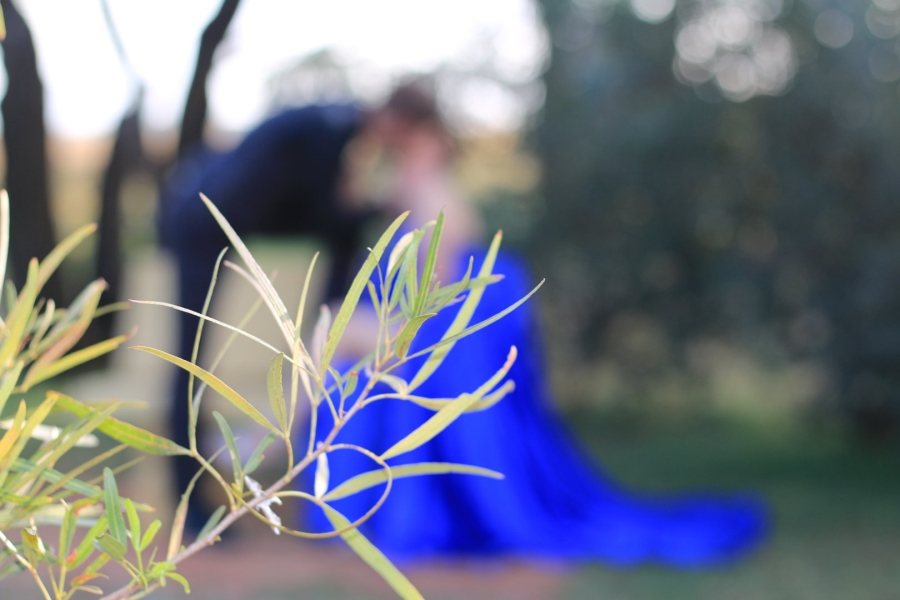 Commercial Property for Sale in Lekwena Wildlife Estate North West